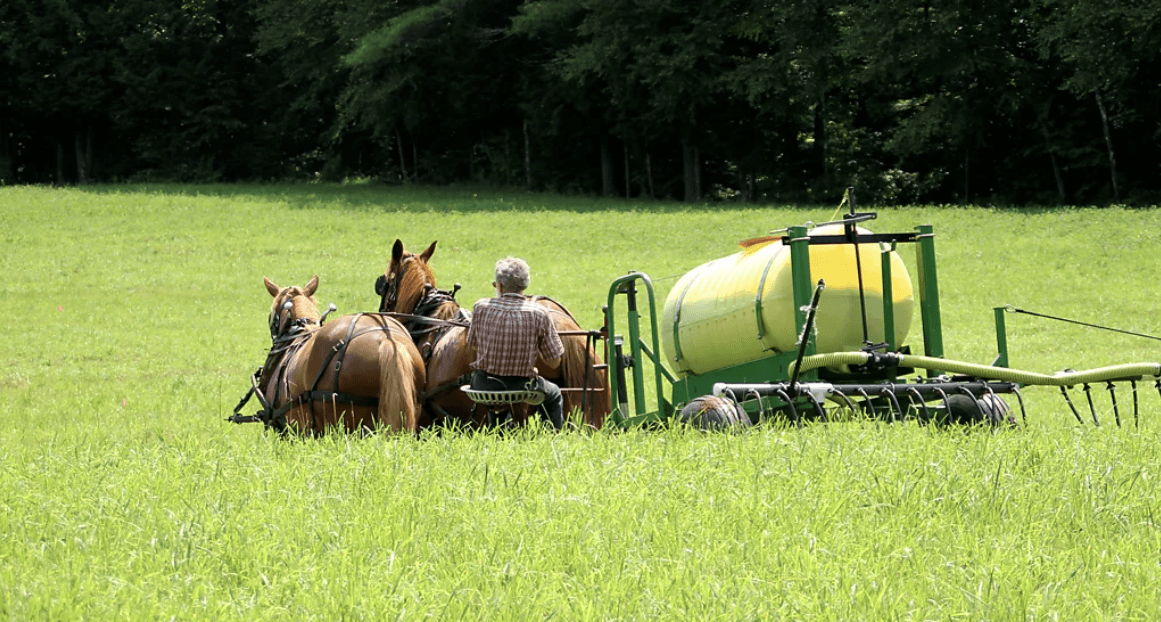 Why Vermont farmers are using urine on their crops