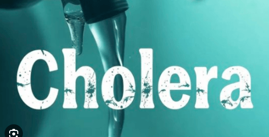 Six dead as counties battle cholera outbreak