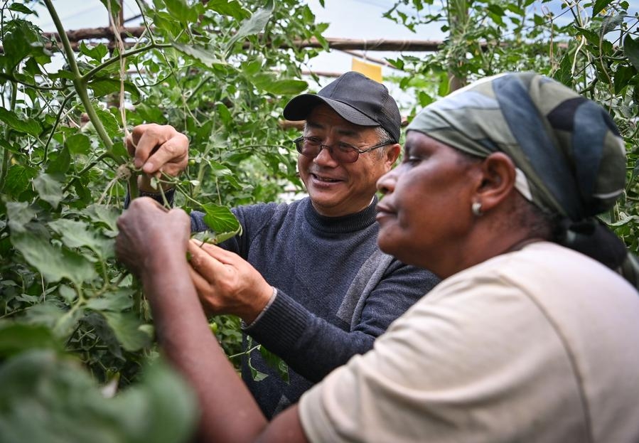China, Kenya join hands on path to modernisation