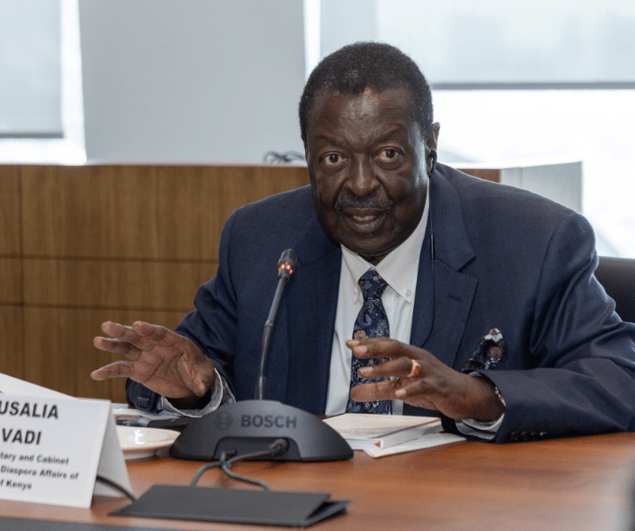 Mudavadi: How diplomacy freed activists in TZ