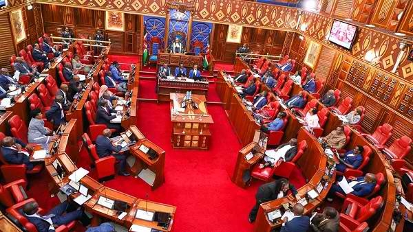 Showdown as ‘snubbed’ Senate plots parallel review of constitution