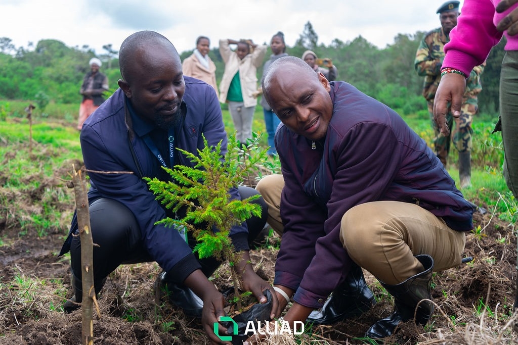 Alliad Kenya partners with Nature Kenya to champion biodiversity
