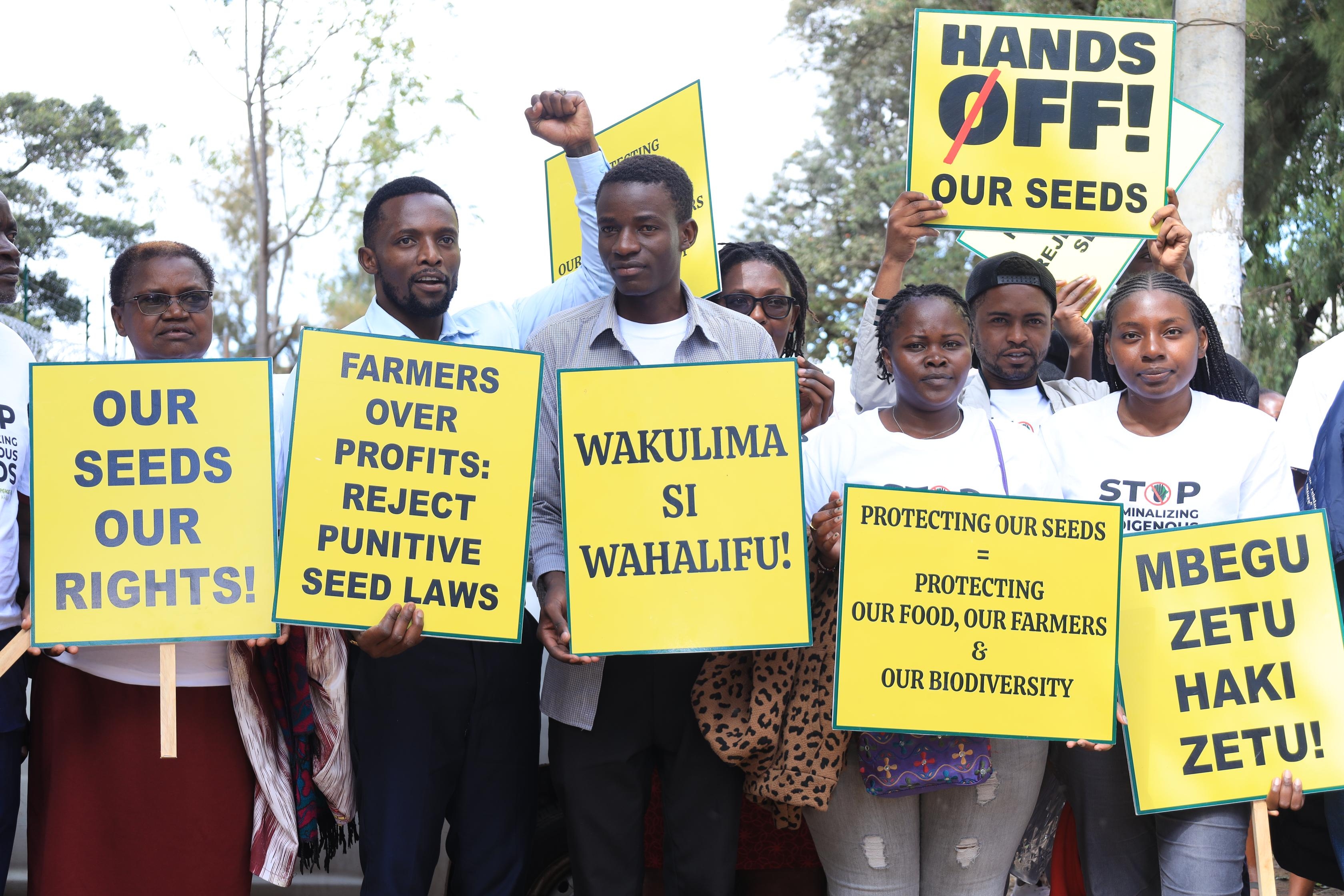 Small-holder farmers to know fate of controversial seeds law in November