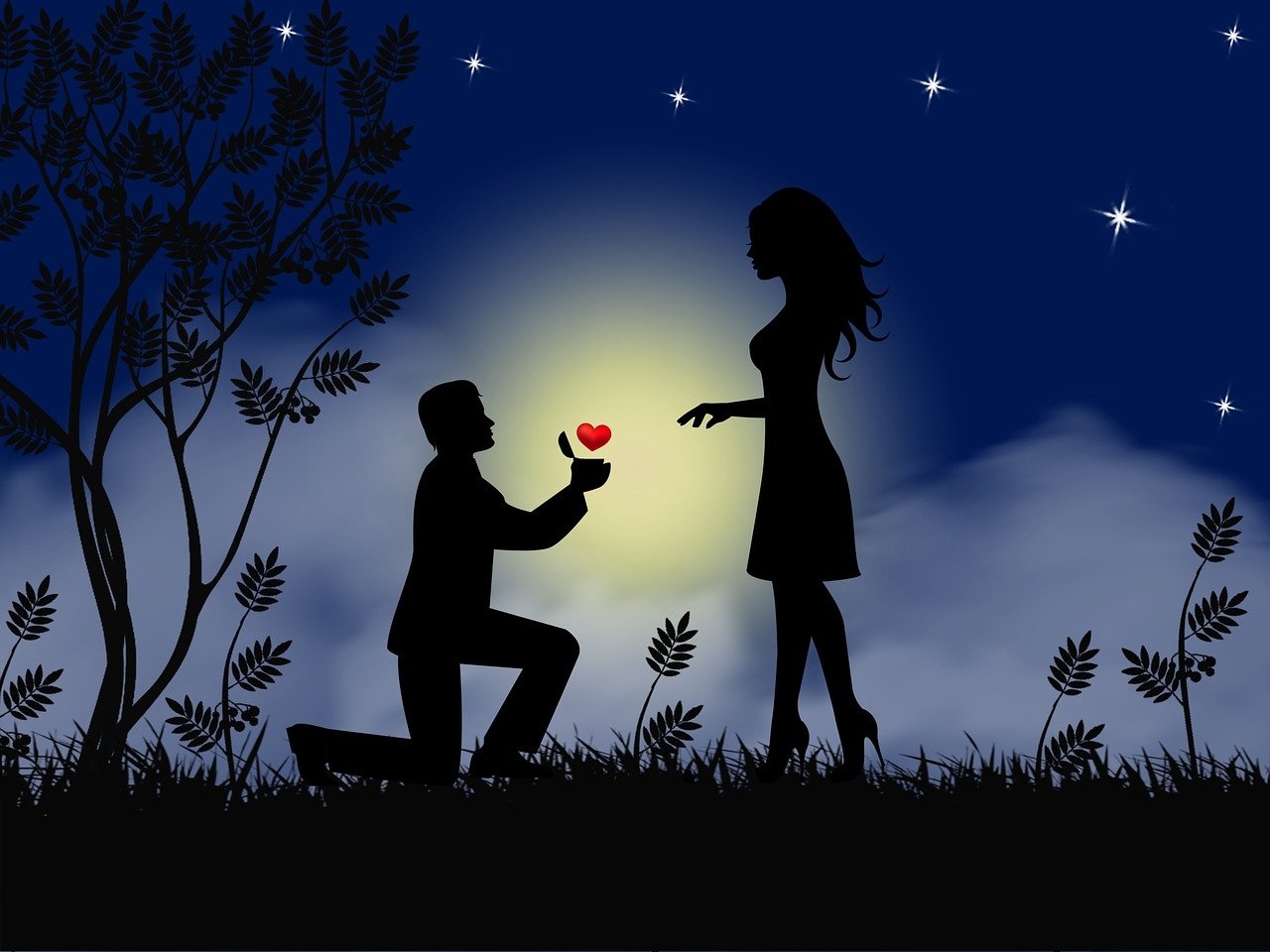 PERPETUAL BACHELOR: Double check before proposing