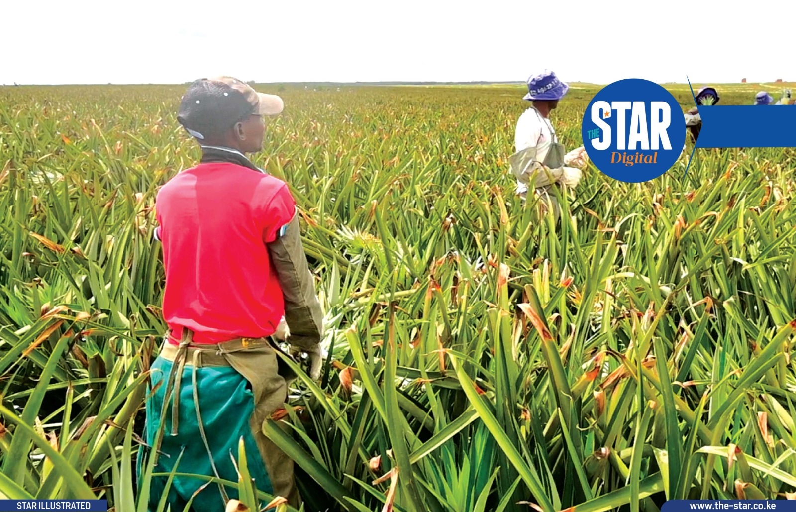 Measures Del Monte has taken on workers' welfare
