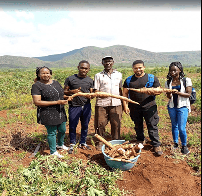 How cassava is powering climate-smart future