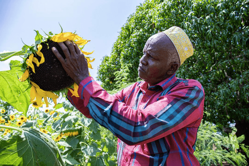 Inside a restoration drive that gives new life to Tana Delta