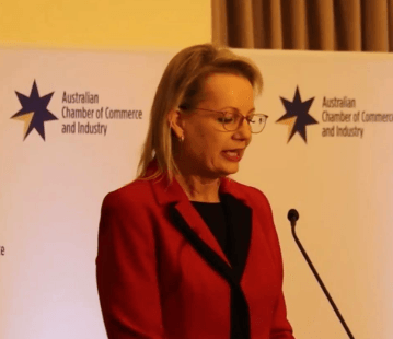 Liberal Party names first female leader after historic Australia election loss