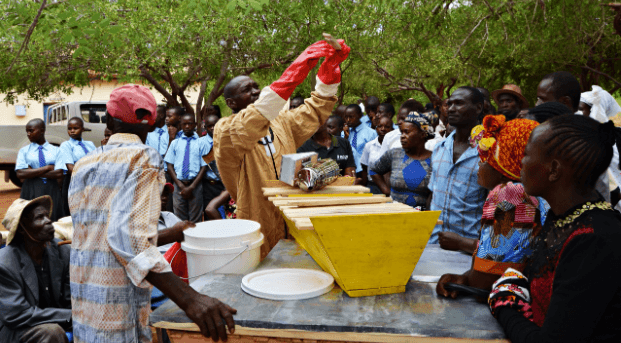 Bees disappearing from Kitui due to degradation of environment - official