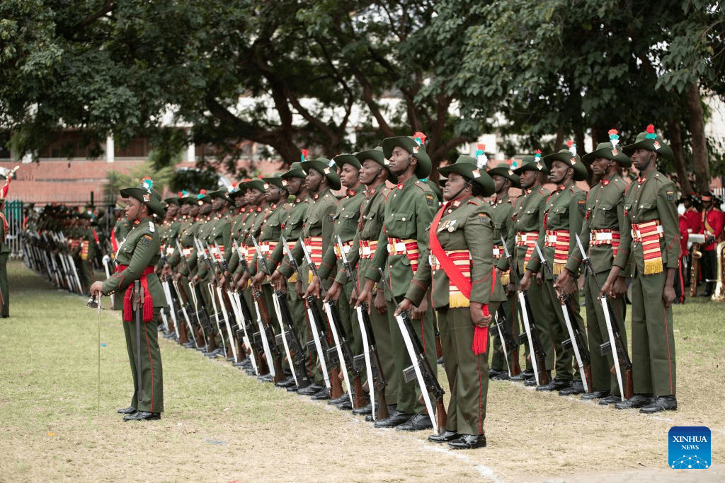 South African parliament marks Africa Day with call for conflict-free continent