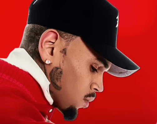 Chris Brown freed on £5m bail by London court