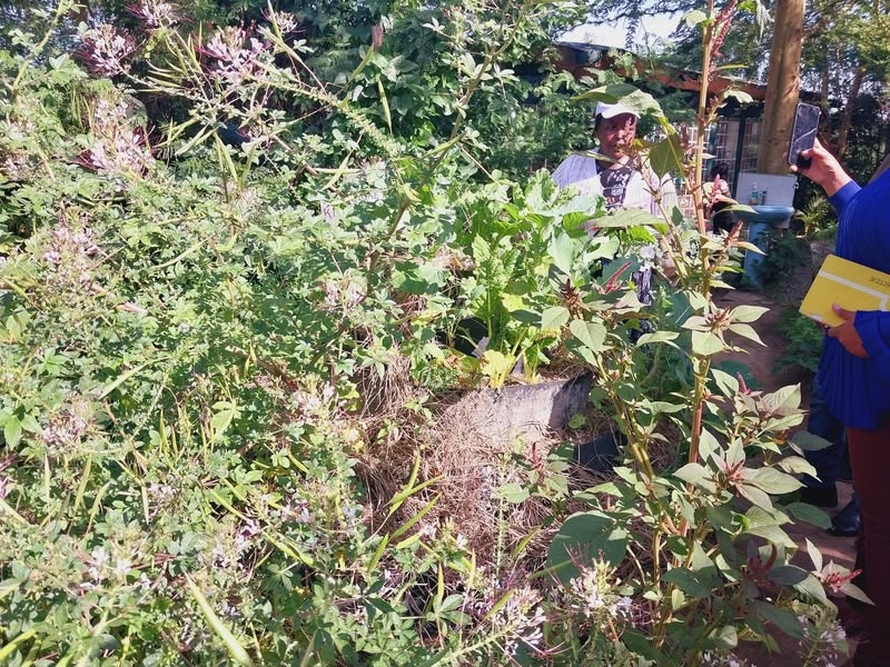 Optimism as Kenyan farmers set to defend seed sovereignty in court