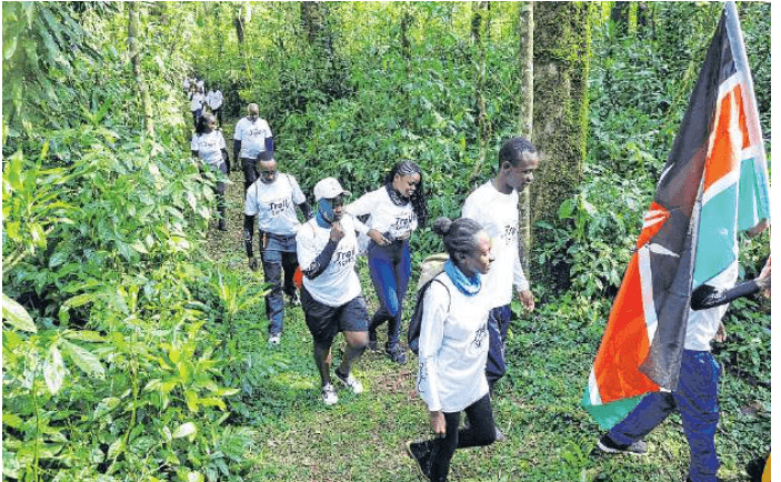 Stunning views of nature in Kakamega forest thrill hikers, cyclists