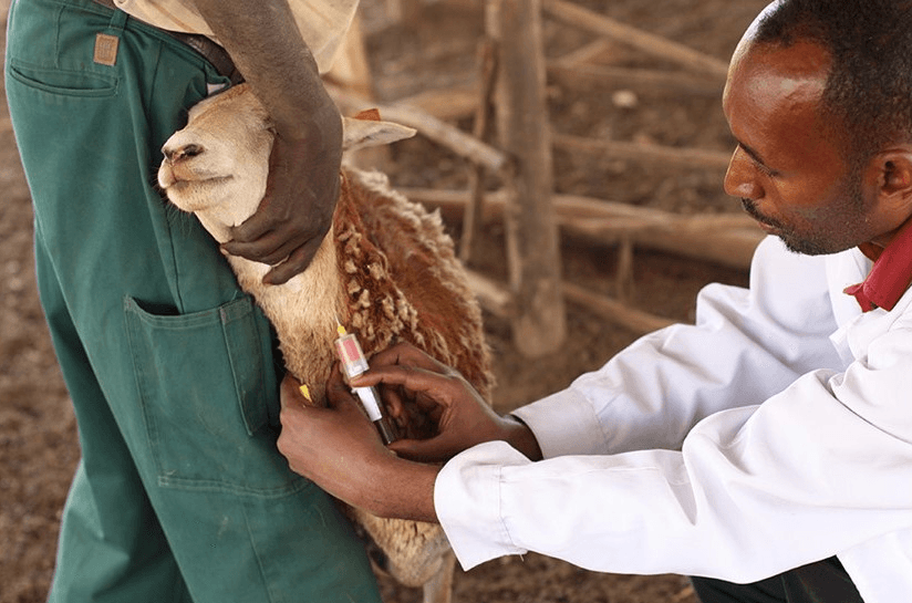 Trials for new genetically modified vaccines approved
