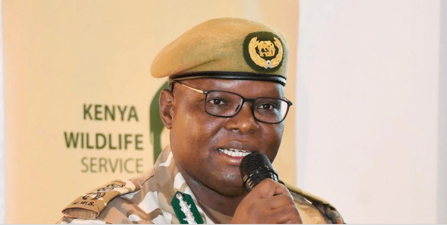 State fixing infrastructure in national parks to enhance visitor experience
