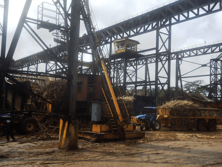 Sugarcane farmers now resolve to revive Busia Outgrowers Company