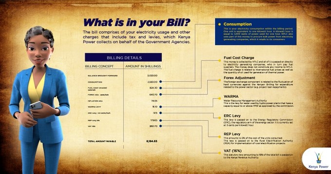 EXPLAINER: What determines your electricity bill