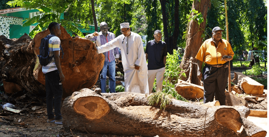 Pressure mounts on Nassir after felling trees at Uhuru Garden