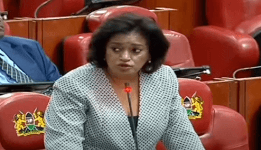 Police Service is not all bad, they serve us – Passaris