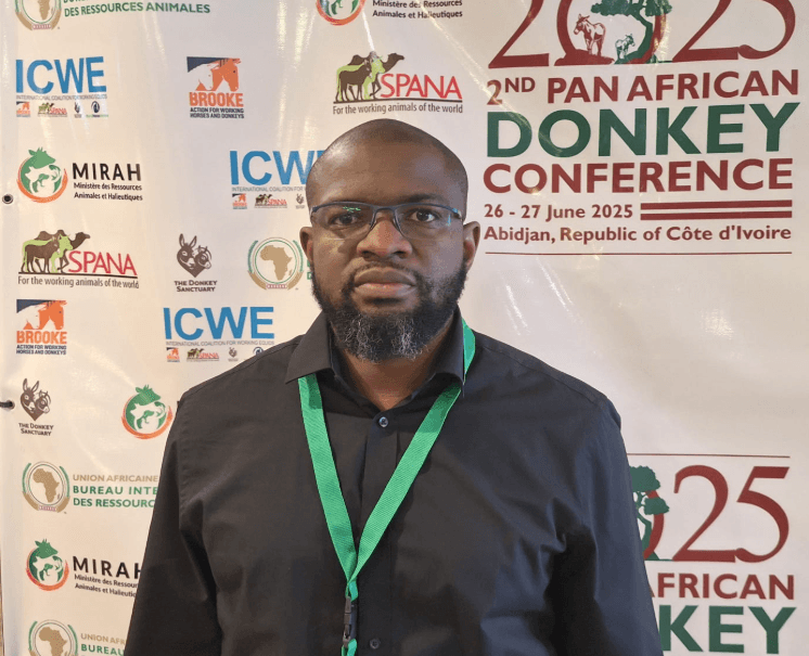 Demand for donkey skins fuels livelihood crisis for Africa’s women, children