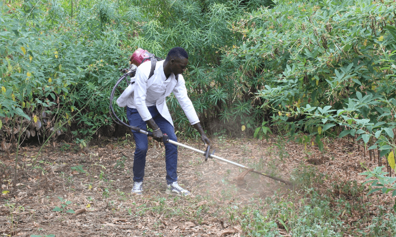 Chabari's mission to end food insecurity in Tharaka