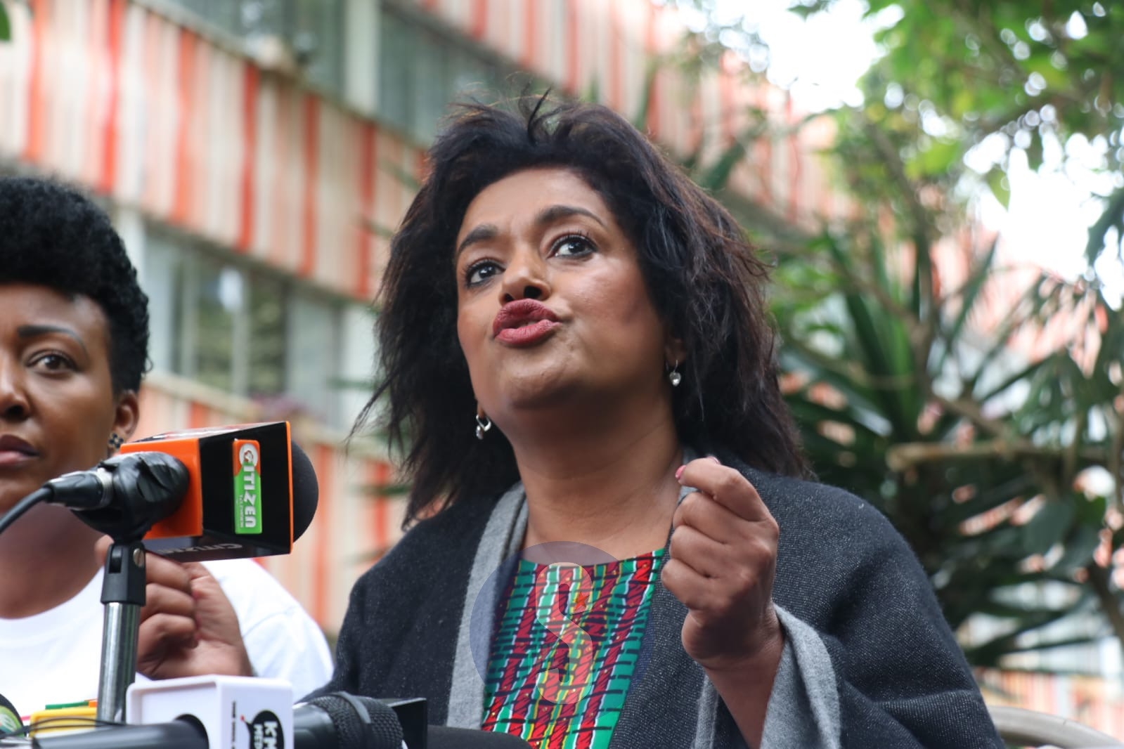 Passaris: Protests in Kenya funded from abroad