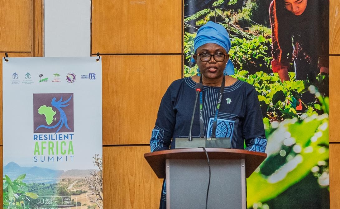 African leaders call for boost in climate finance at Nairobi meet