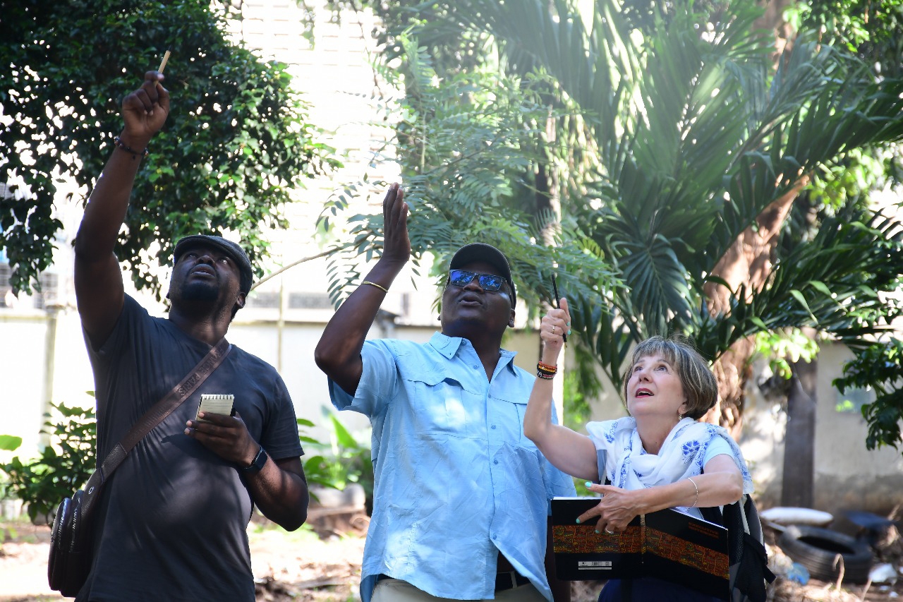Renewed push to restore, protect Mombasa's Uhuru Garden
