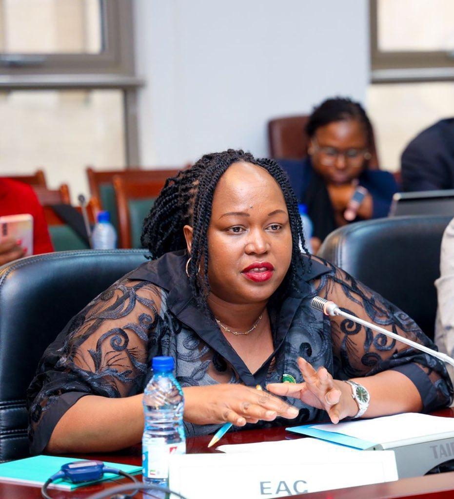 EAC champions harmonised Africa resource mobilisation strategy