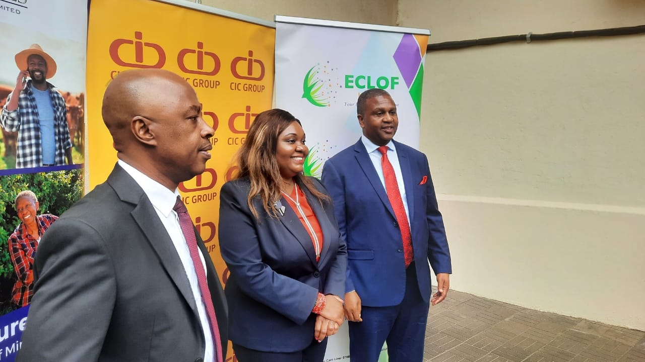 Sh1,000 a day for hospitalised traders: new policy offers lifeline to SMEs
