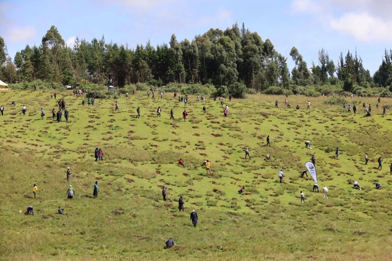 Preparations near complete for 9th edition of Kaptagat Forest conservation campaign