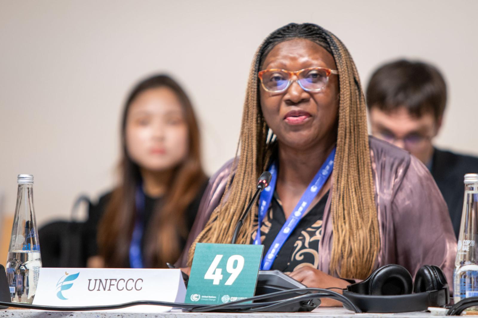 Calls to scale up climate finance for Africa