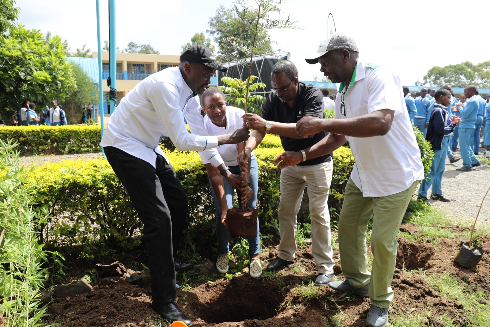 Dandora students relieved as trees freshen air, nourish