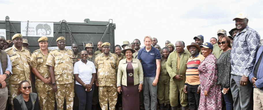 KWS mulls relocation as rhino numbers overrun Nairobi park