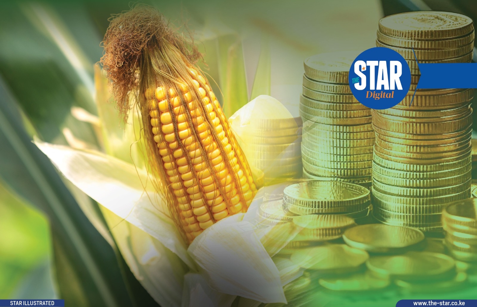 National average price spreads for Maize