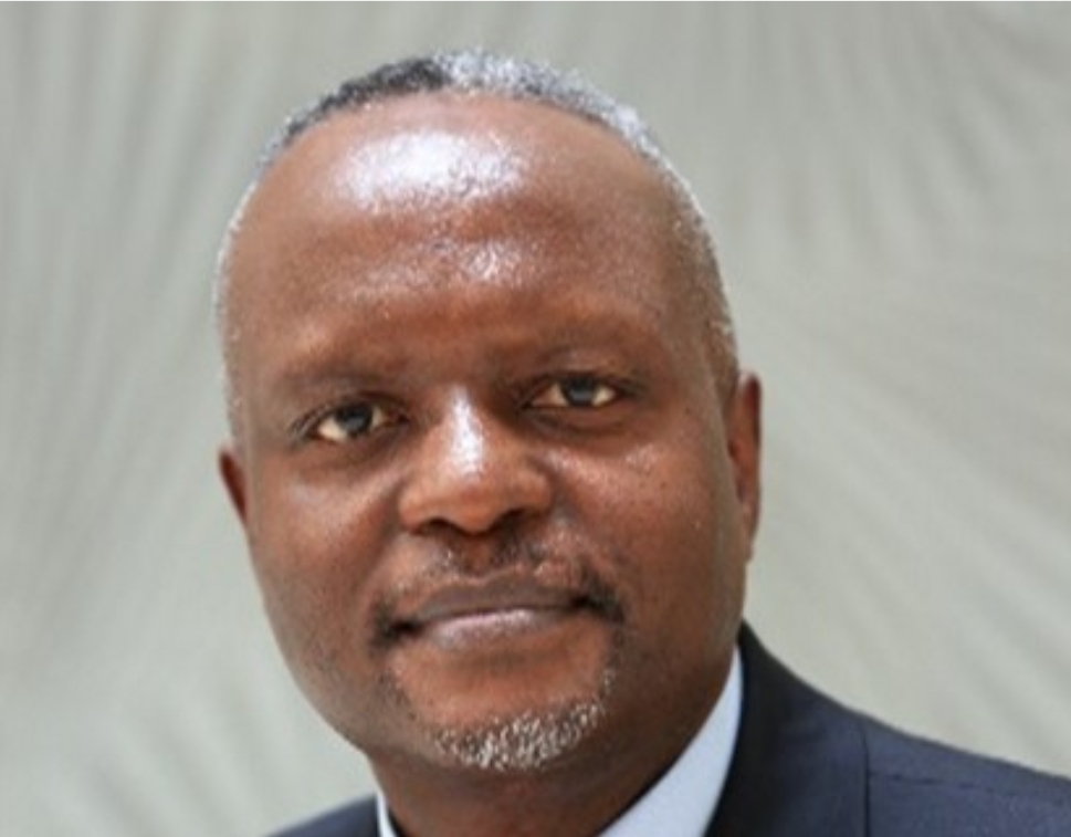 NGARI: Unlocking Africa's potential, the promise of blended finance