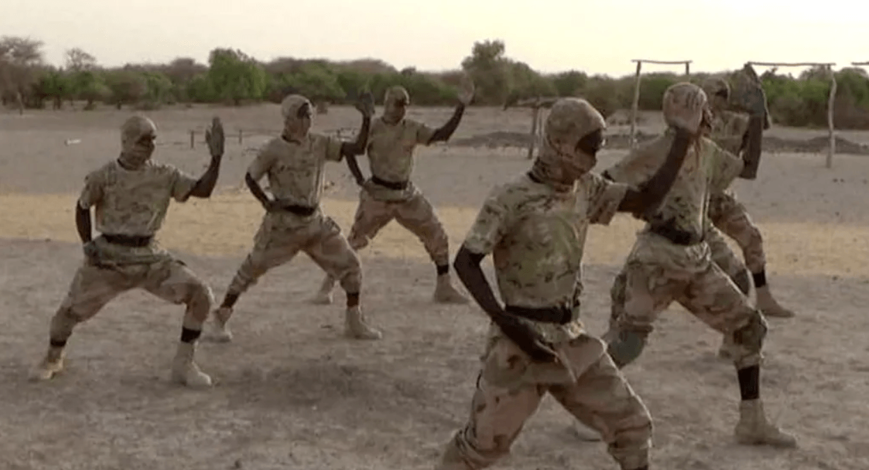 How an al-Qaeda offshoot became one of Africa's deadliest militant groups