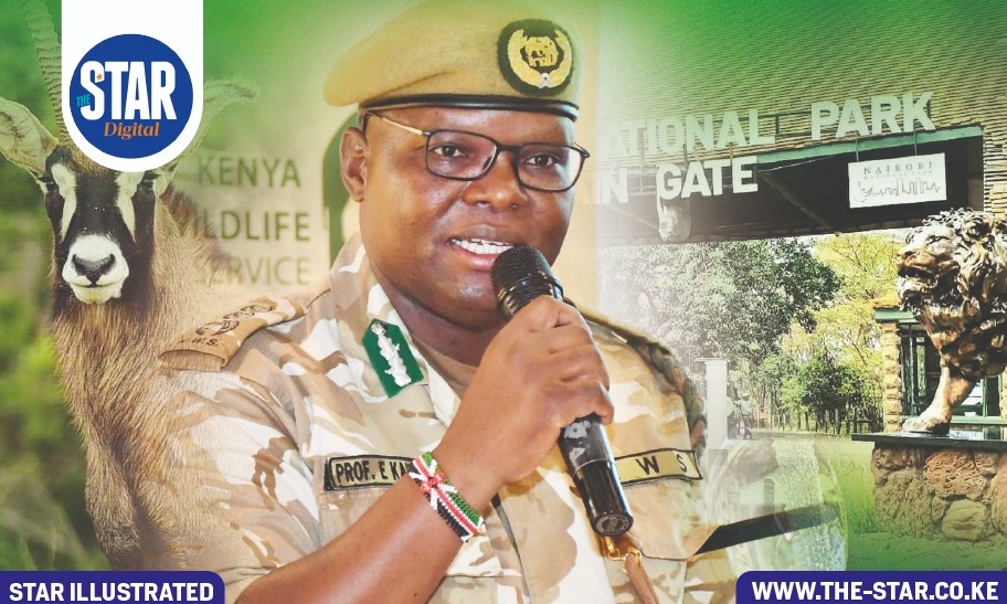 Why KWS is reviewing park entry fees