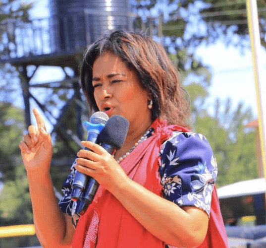 Passaris: I stand firmly with Ruto, leadership is about progress