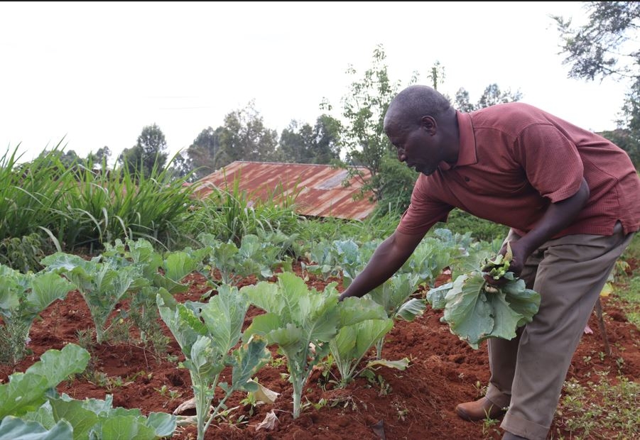 County sets pace in agroecology as global partners back policy-driven farming shift