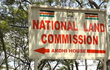Search for new NLC begins as Ruto names panel