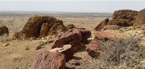 EXPLAINER: Exploring Sibiloi National Park: Where wildlife meets dawn of humankind