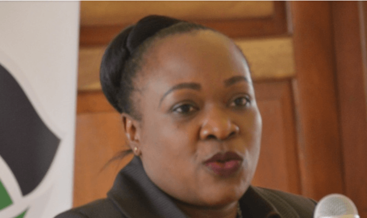 Ruto’s KNCHR pick admits compensation committee encroaches commission's mandate