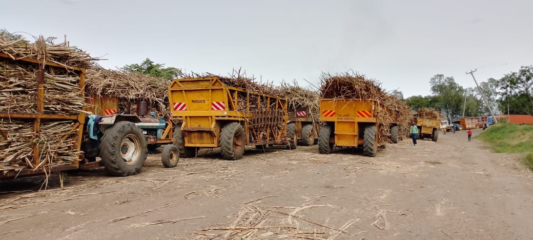 Mills shift to private hands as union moves to reassure sugar workers of job safety