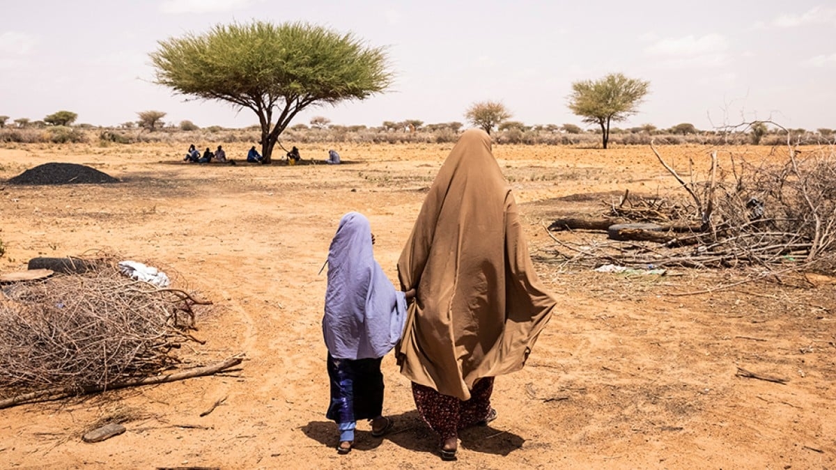 Hunger declines globally, but rises in Africa - report