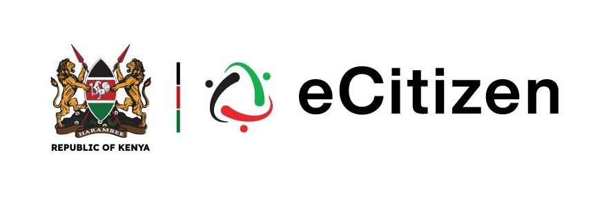 eCitizen scandal: Shadowy ownership, missing billions