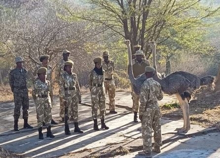 EXPLAINER: How KWS is fostering harmony between people, wildlife
