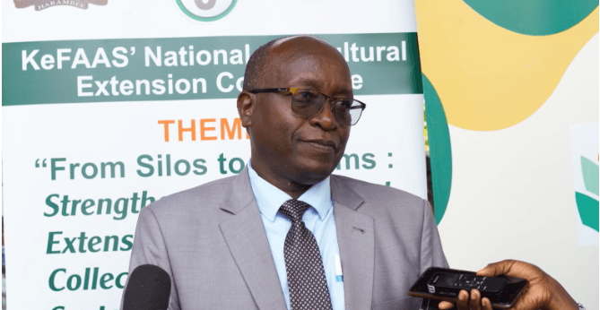 Experts call for stronger partnerships to revamp agricultural extension