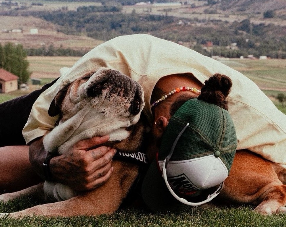 Lewis Hamilton mourns death of his bulldog Roscoe