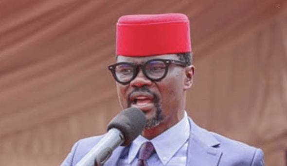 Didmus: Why my red hat holds ‘parliamentary status’